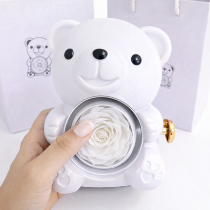 The Forever Moment Box Bear